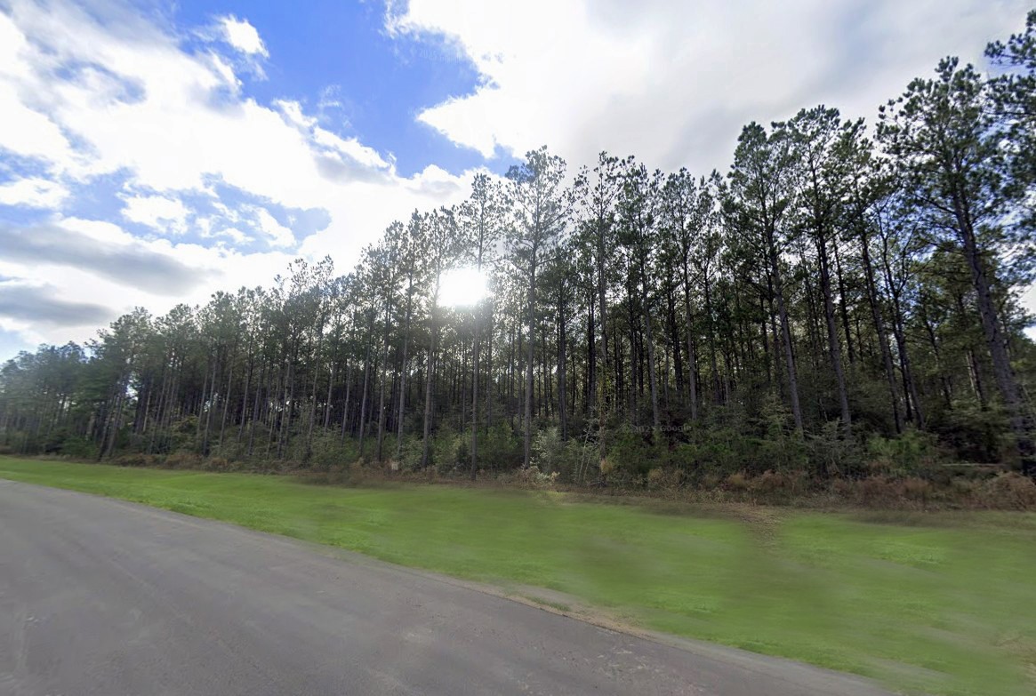 16049 Forest Mill Road Willis, TX 77378 - Photo 8 of 23