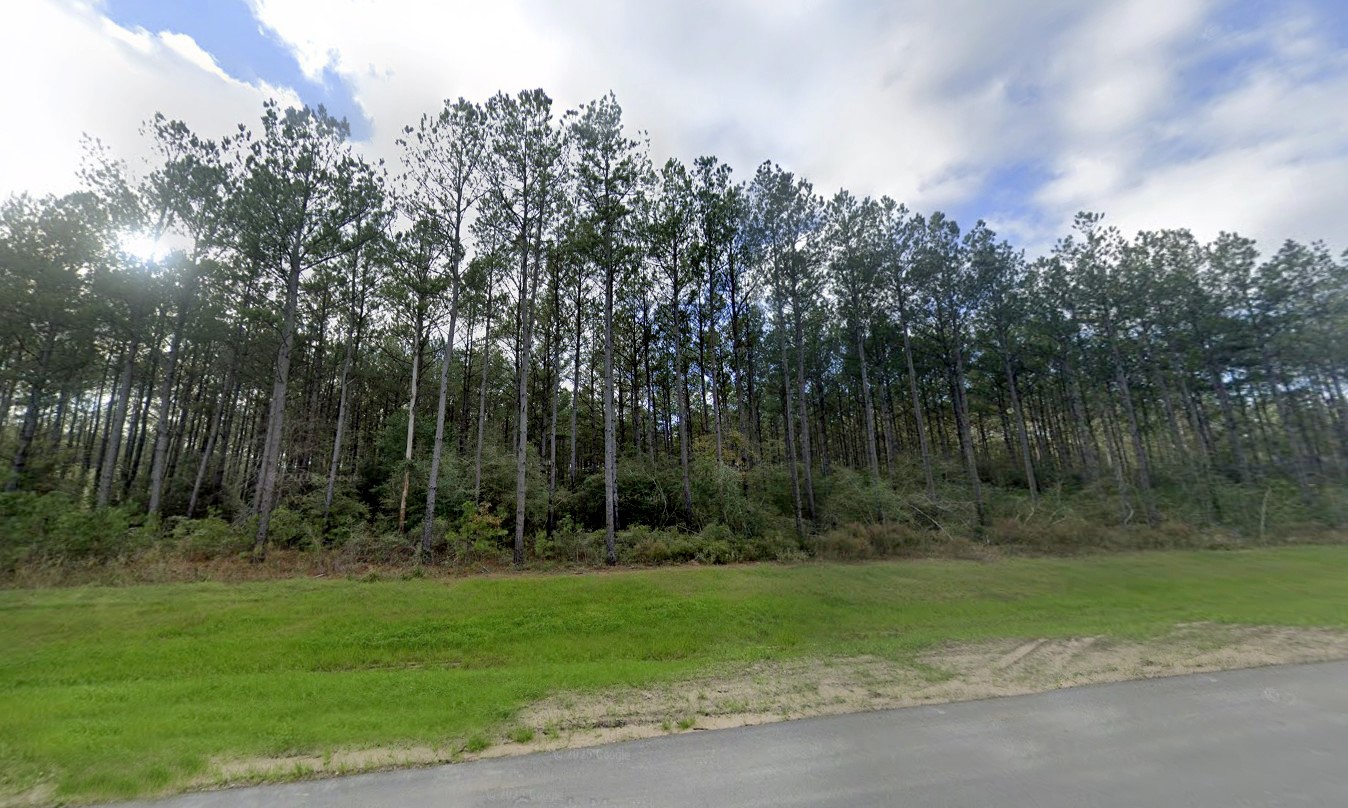 16049 Forest Mill Road Willis, TX 77378 - Photo 9 of 23