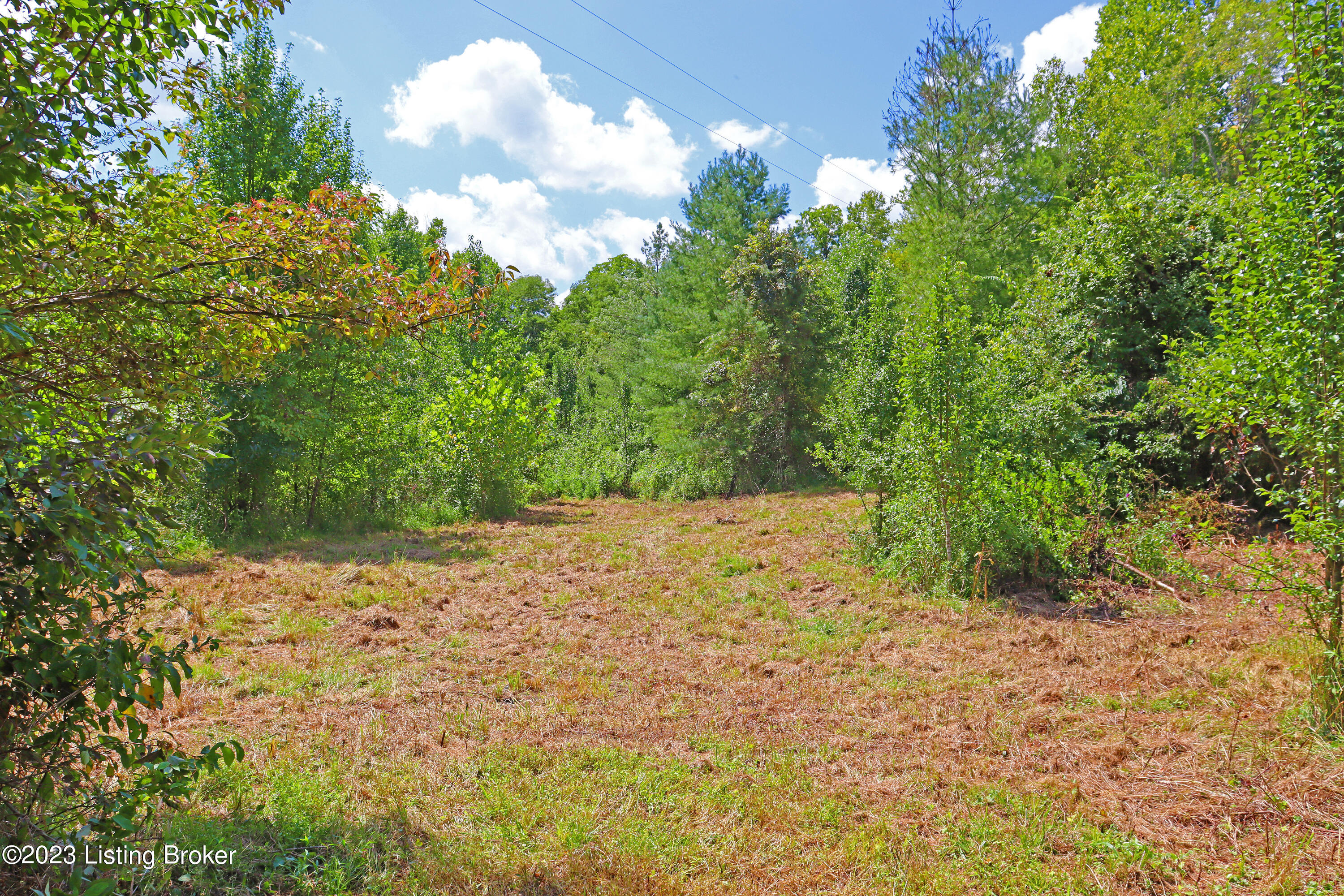 9006 River Road Turners Station, KY 40075 - Photo 22 of 39 Mid Field 1