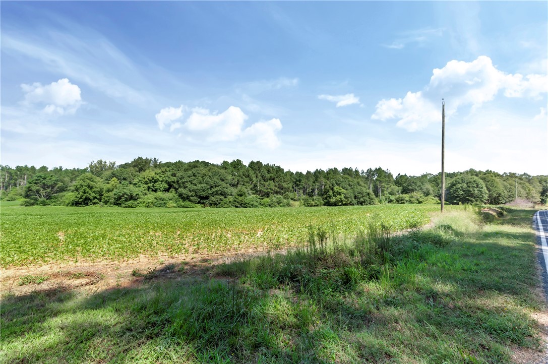 104 Ramage Road Townville, SC 29689 - Photo 3 of 34 Acreage