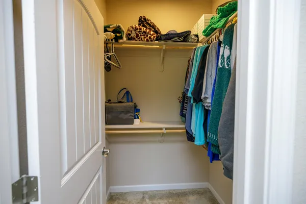 a workspace with furniture and a potted plant