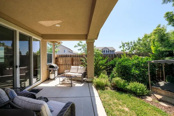 a view of a garden with potted plants