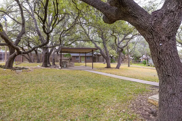 a tree in the middle of a yard