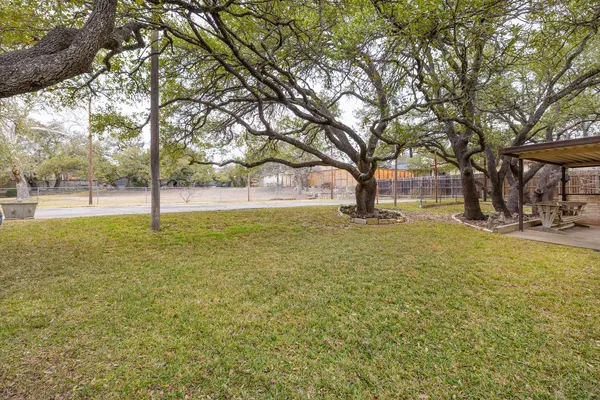a view of yard with tree