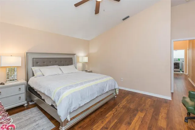 a view of a field with plants and trees