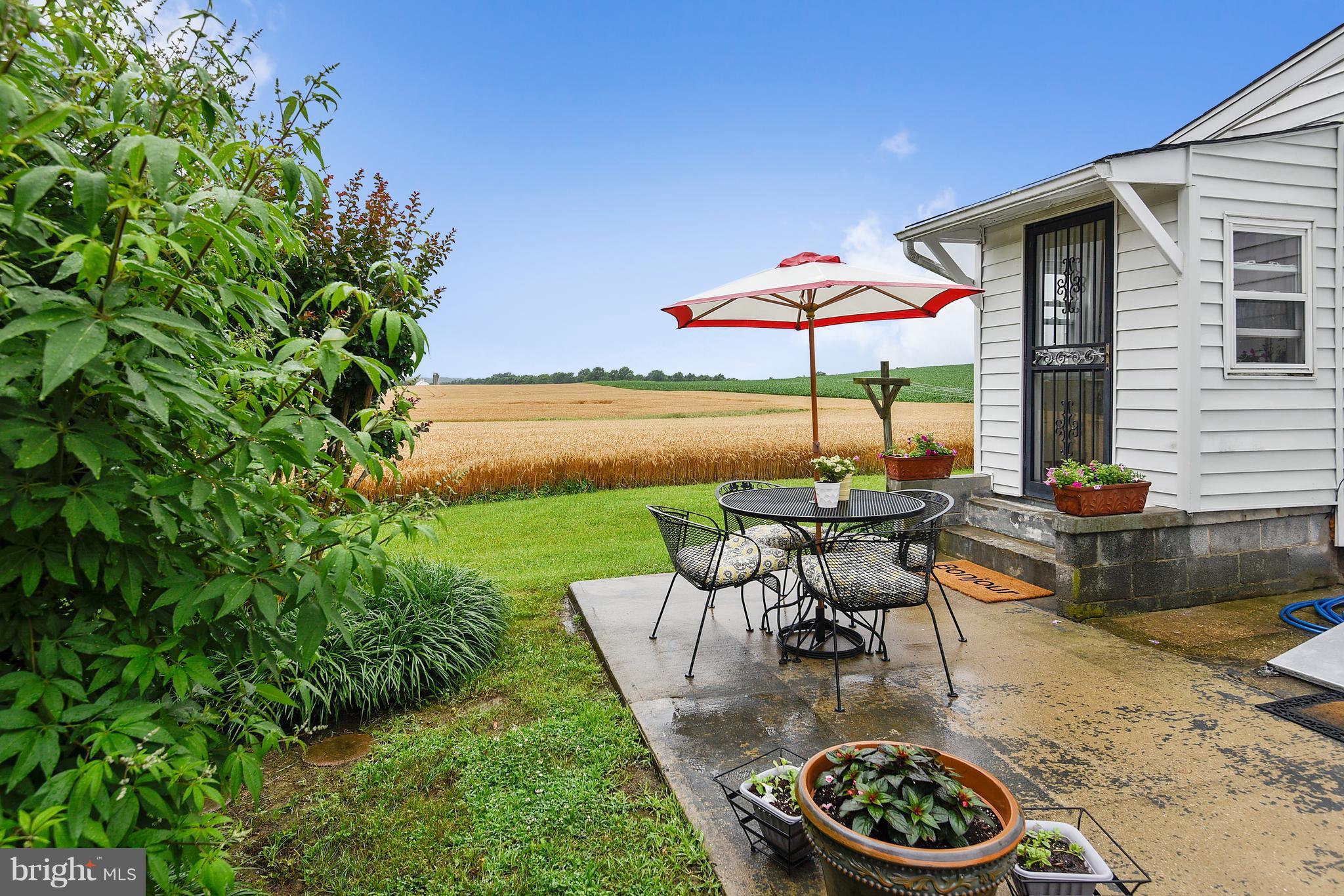 6041 Dickerson Road Tuscarora, MD 21790 - Photo 14 of 30 Side Yard Patio to enjoy