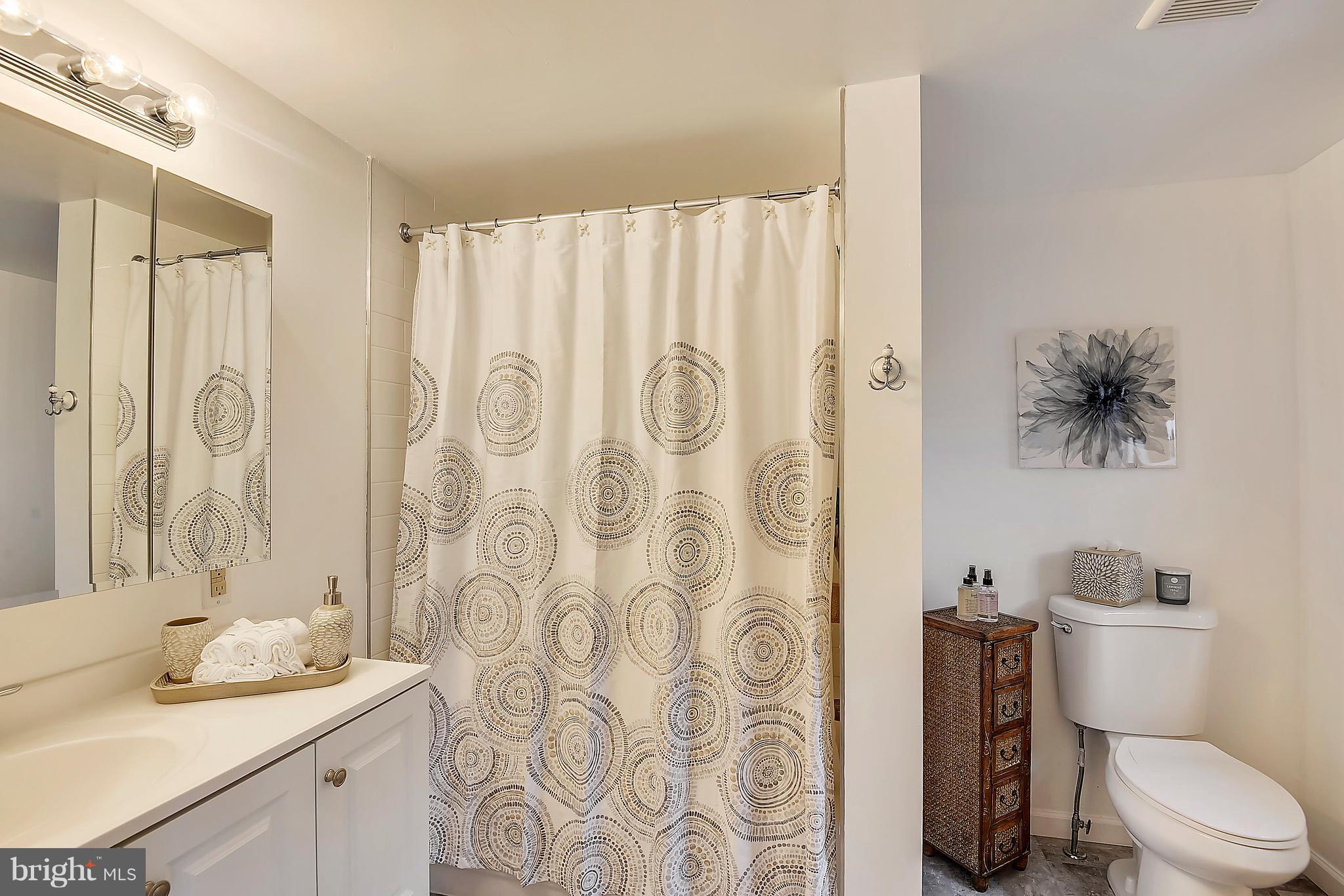 6041 Dickerson Road Tuscarora, MD 21790 - Photo 5 of 30 New updated Bath on Main Level