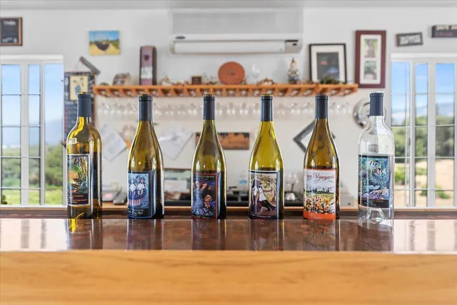 a view of a yard with plants and large trees