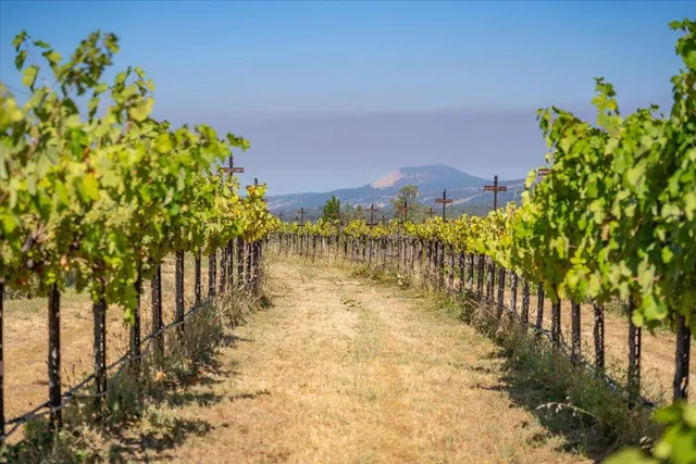 a view of a lake with a mountain
