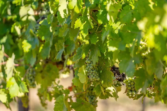 a view of a large body of water with a building in the background