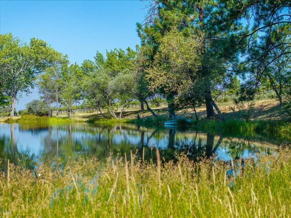a view of a house with potted plants and a bench