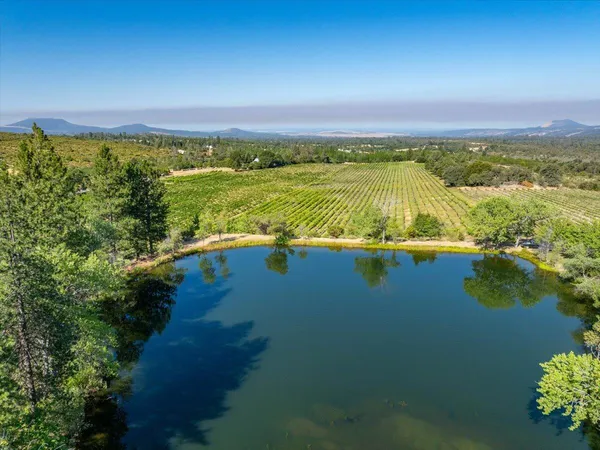 a view of a green field with an ocean view