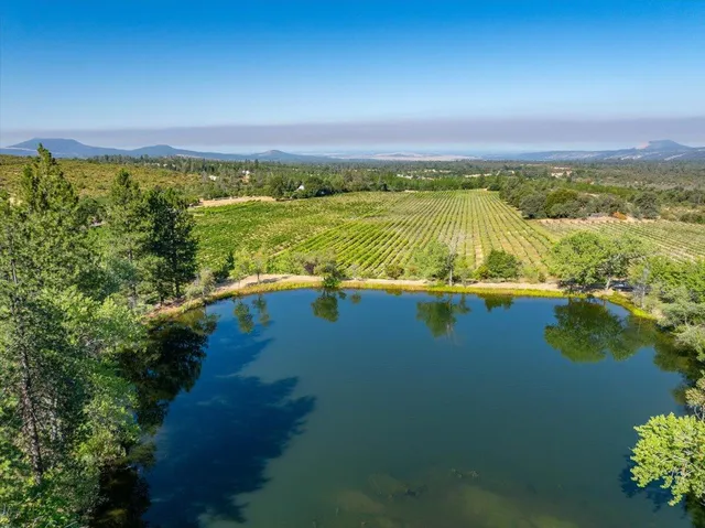 a view of a green field with an ocean view