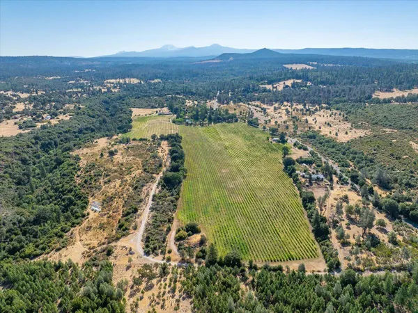 a view of a lake with houses in the background