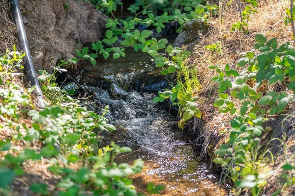 $1,895,000 | 31630 Forward Road, Manton, CA 96059