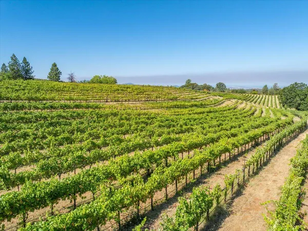 $1,895,000 | 31630 Forward Road, Manton, CA 96059