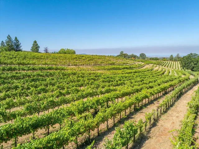 $1,895,000 | 31630 Forward Road, Manton, CA 96059