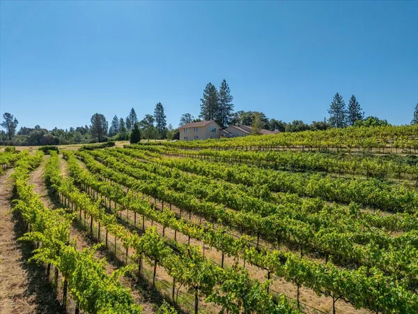 $1,895,000 | 31630 Forward Road, Manton, CA 96059