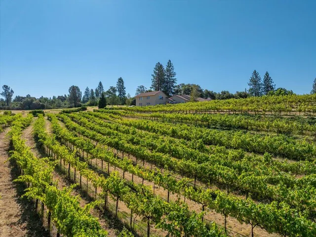 $1,895,000 | 31630 Forward Road, Manton, CA 96059