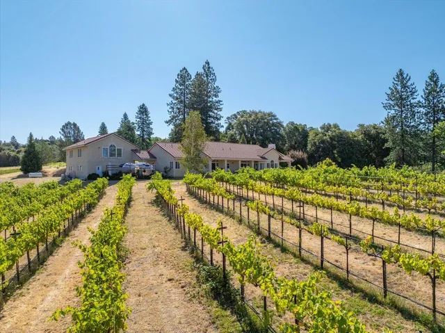 $1,895,000 | 31630 Forward Road, Manton, CA 96059