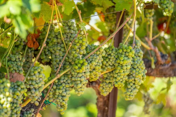 a view of a storage & utility room