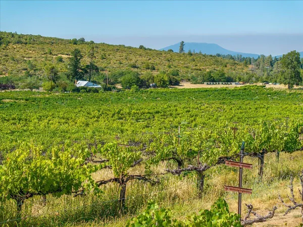 $1,895,000 | 31630 Forward Road, Manton, CA 96059