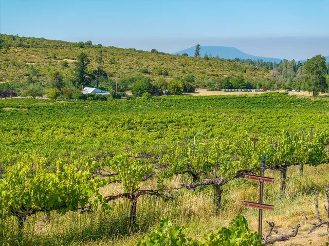 $1,895,000 | 31630 Forward Road, Manton, CA 96059