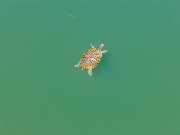 $1,895,000 | 31630 Forward Road, Manton, CA 96059