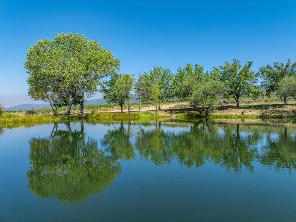 $1,895,000 | 31630 Forward Road, Manton, CA 96059