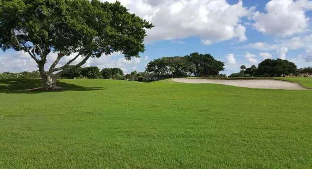 a view of a field with plants and trees in the background