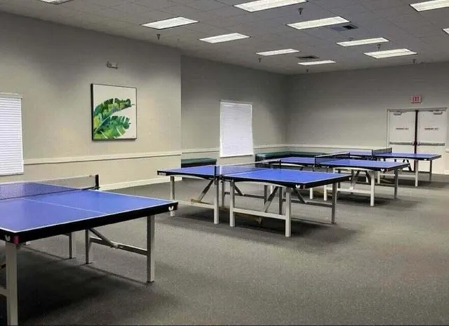 a dining room with furniture a rug and a potted plant