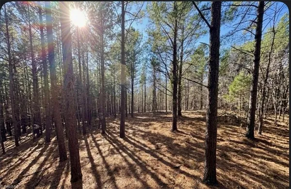$169,900 | 0 South Highway 86, Prospect Hill, NC 27314