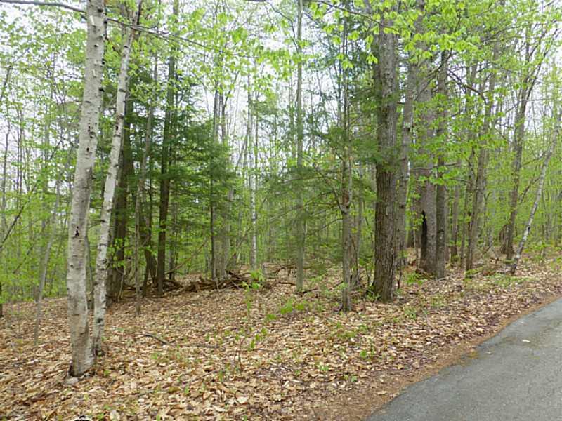 0 Ham's Camp Road Acton, ME 04001 - Photo 3 of 11 Land. Back lot