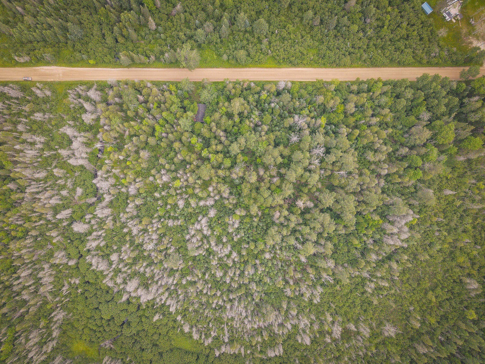 17185 21 Mile Road Tustin, MI 49688 - Photo 6 of 25 DJI_0186