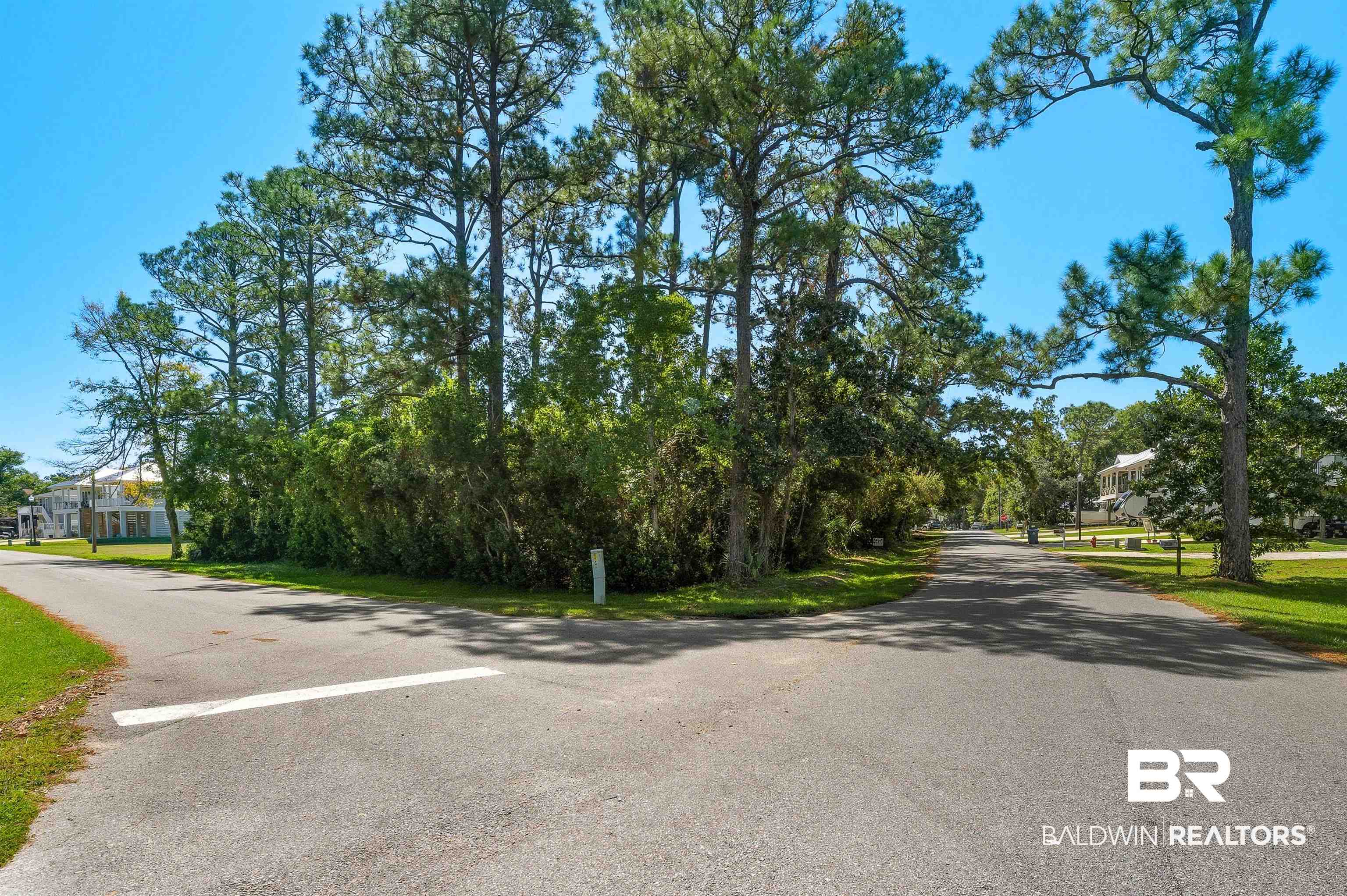 5310 Pine Road Orange Beach, AL 36561 - Photo 10 of 46 View of asphalt road