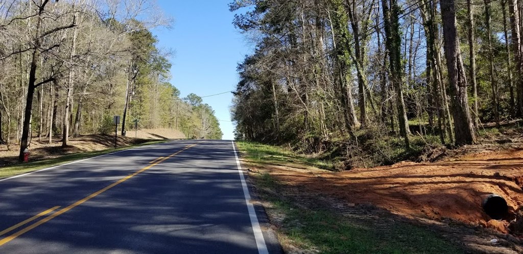 Tbd West Roy Parker Road Ozark, AL 36360 - Photo 6 of 6