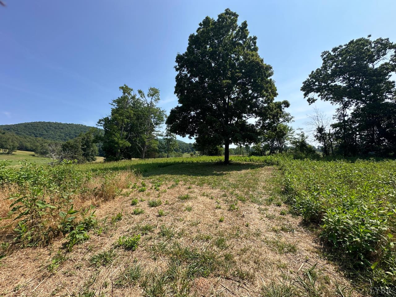 2225 Irving Road Thaxton, VA 24174 - Photo 35 of 45