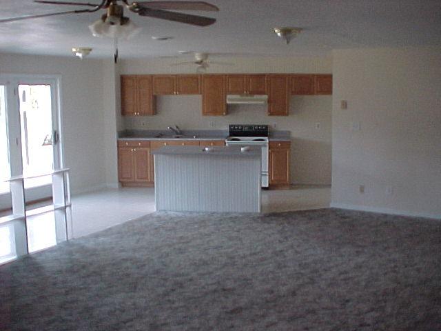 1332 Waldheim Road Salem, VA 24153 - Photo 8 of 10 Downstairs Kitchen