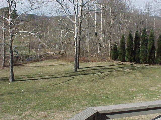 1332 Waldheim Road Salem, VA 24153 - Photo 10 of 10 View from Deck