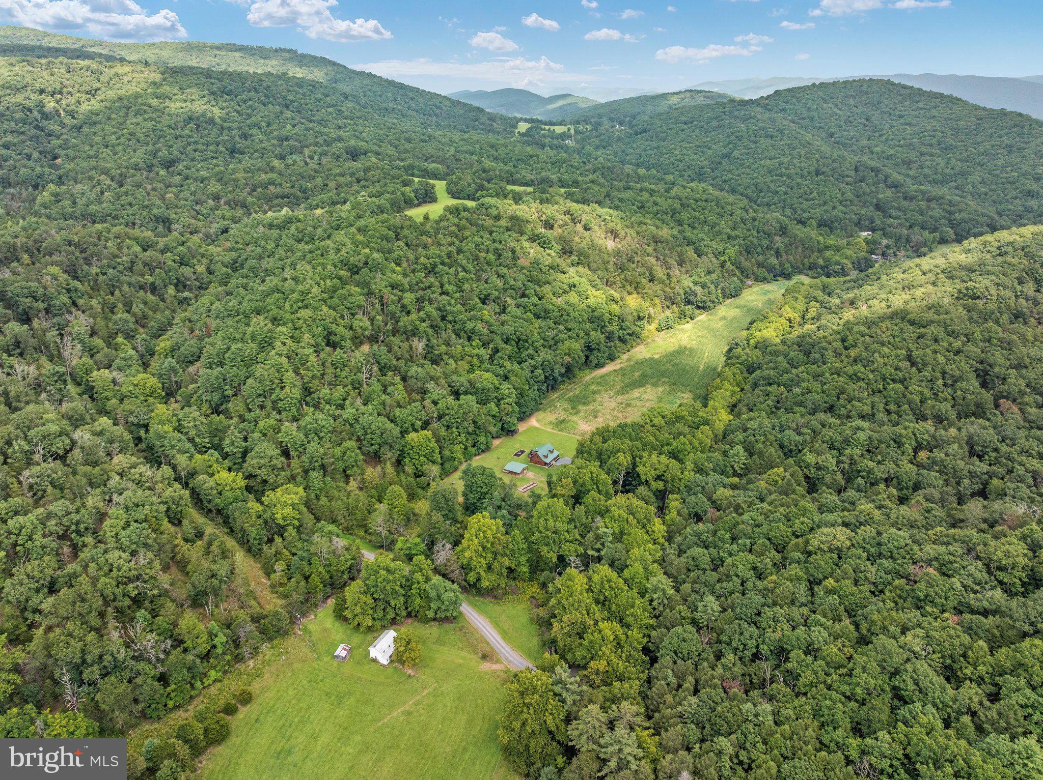 1396 Cullers Run Road Mathias, WV 26812 - Photo 69 of 79 Serene hillside retreat amidst lush greenery.
