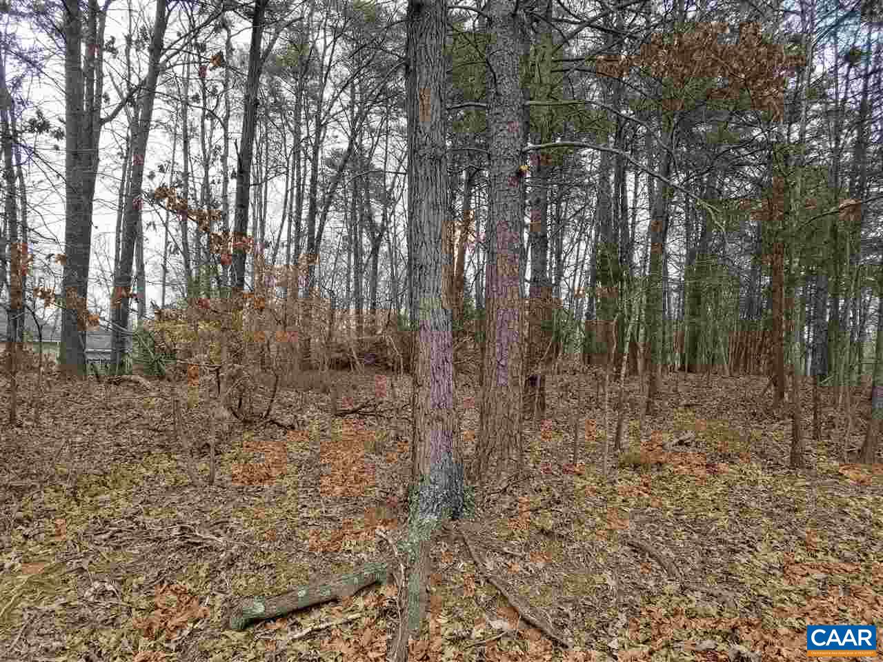 22 Briarwood Road Palmyra, VA 22963 - Photo 2 of 5 a view of a forest with trees in the background