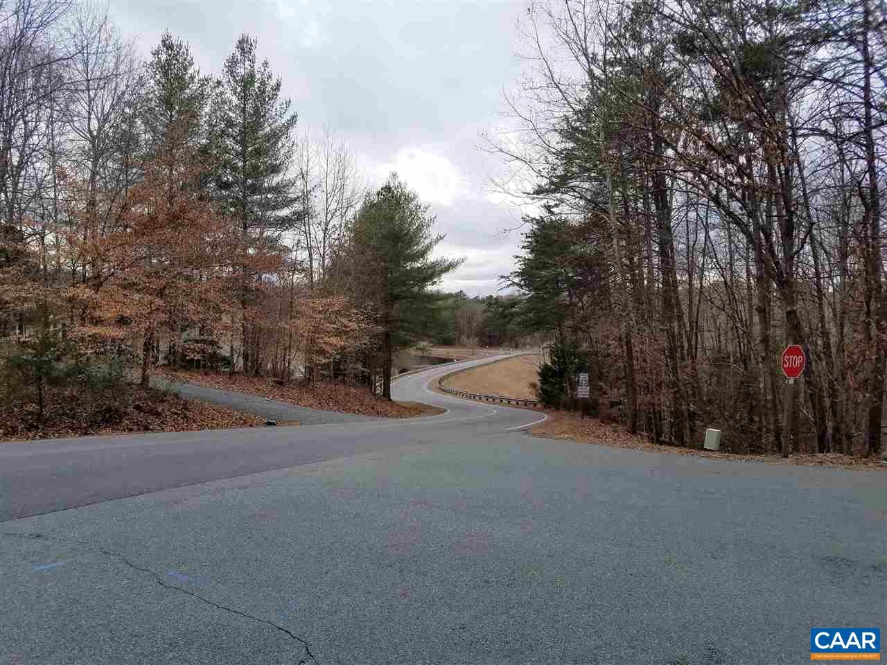 22 Briarwood Road Palmyra, VA 22963 - Photo 5 of 5 a view of road and trees