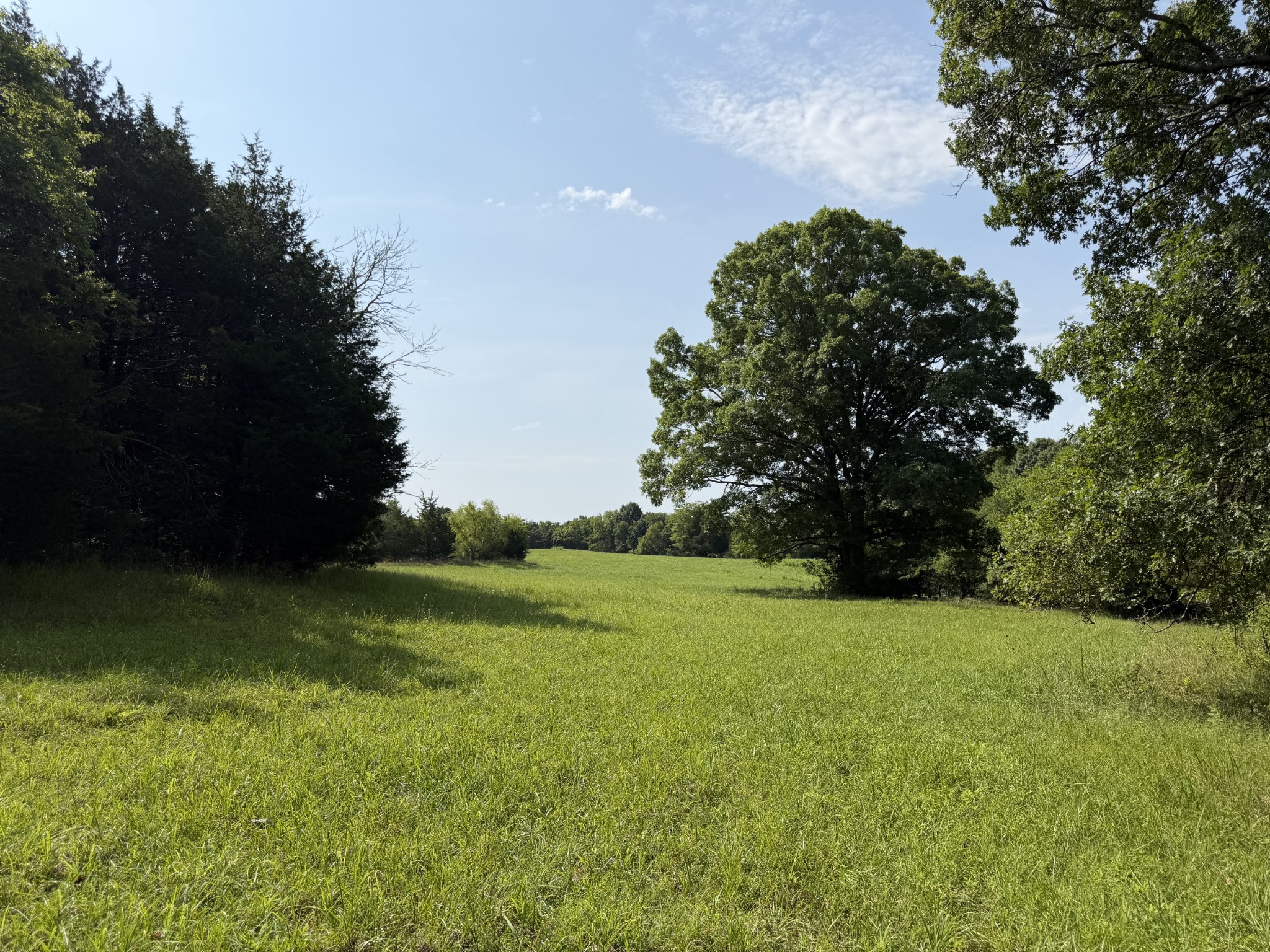 0 Flat Creek Road Spring Hill, TN 37174 - Photo 7 of 26 Gallery Image 7