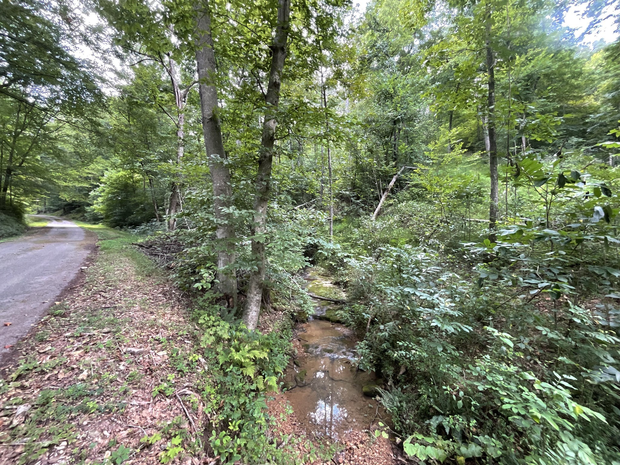 5 Lyle Hollow Road Palmyra, TN 37142 - Photo 12 of 57 Gallery Image 12