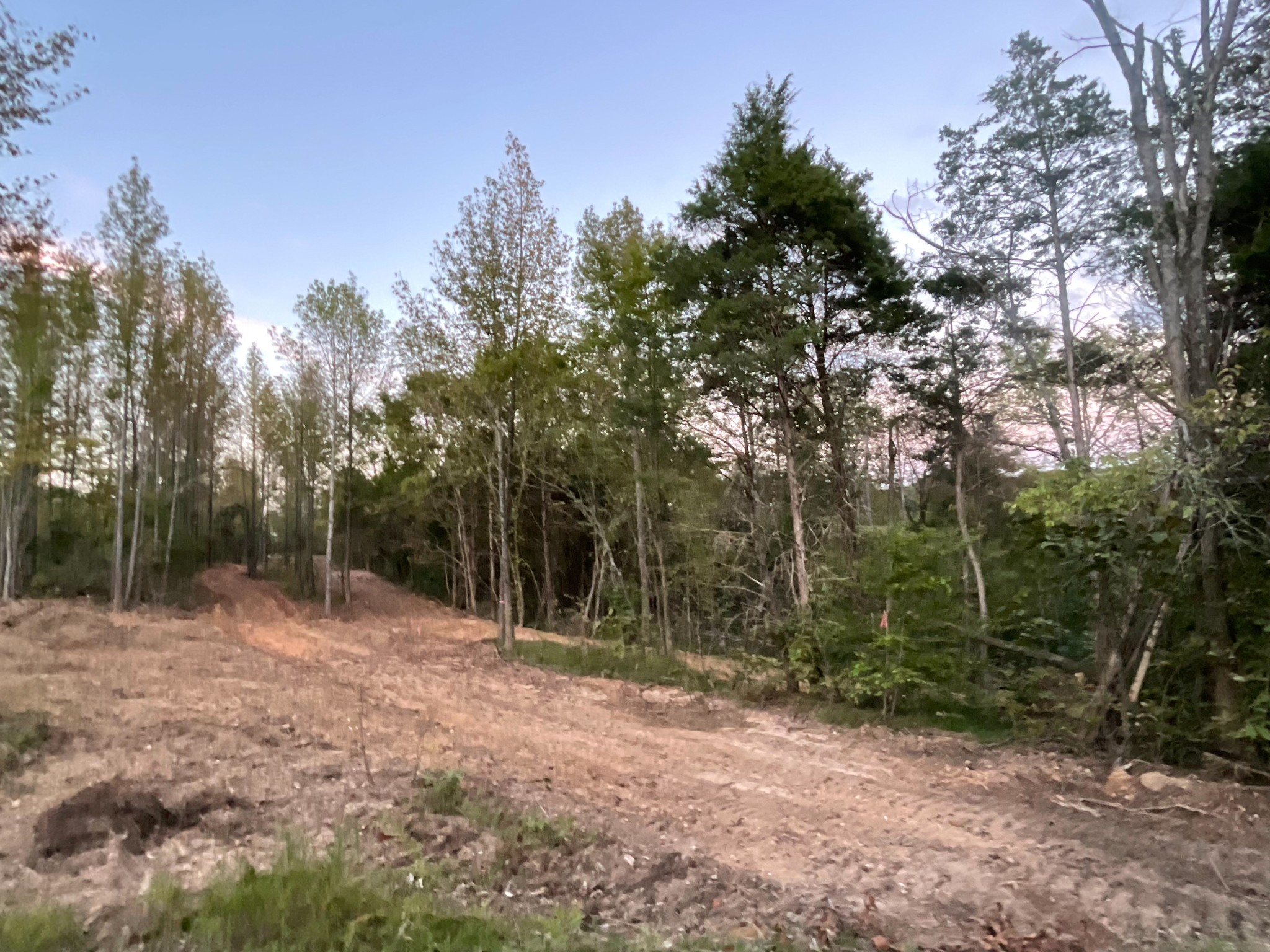 5 Lyle Hollow Road Palmyra, TN 37142 - Photo 14 of 57 Gallery Image 14