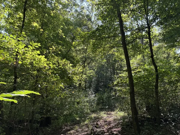 $136,000 | 5 Lyle Hollow Road, Palmyra, TN 37142