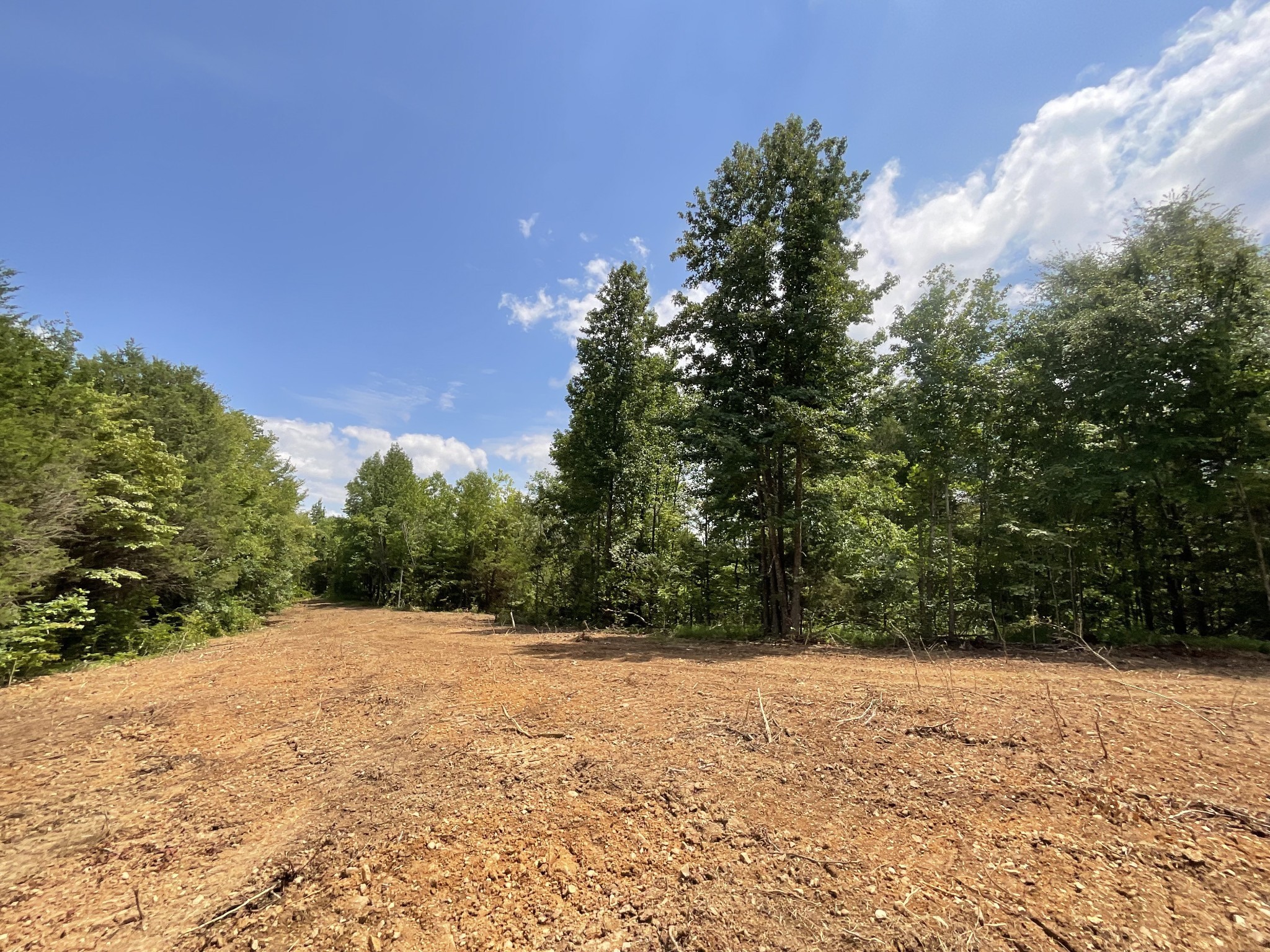 5 Lyle Hollow Road Palmyra, TN 37142 - Photo 22 of 57 Gallery Image 22