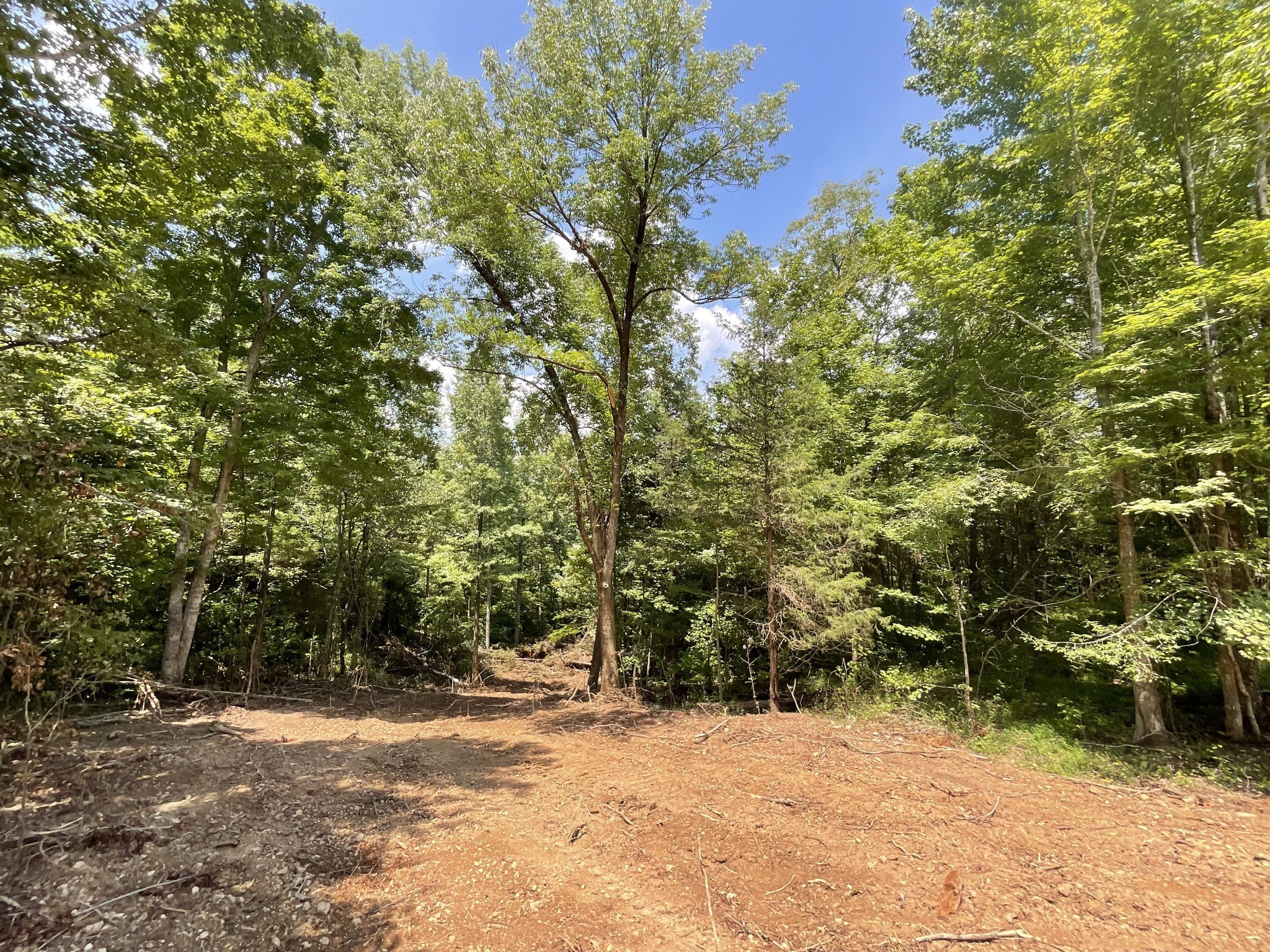 5 Lyle Hollow Road Palmyra, TN 37142 - Photo 23 of 57 Gallery Image 23