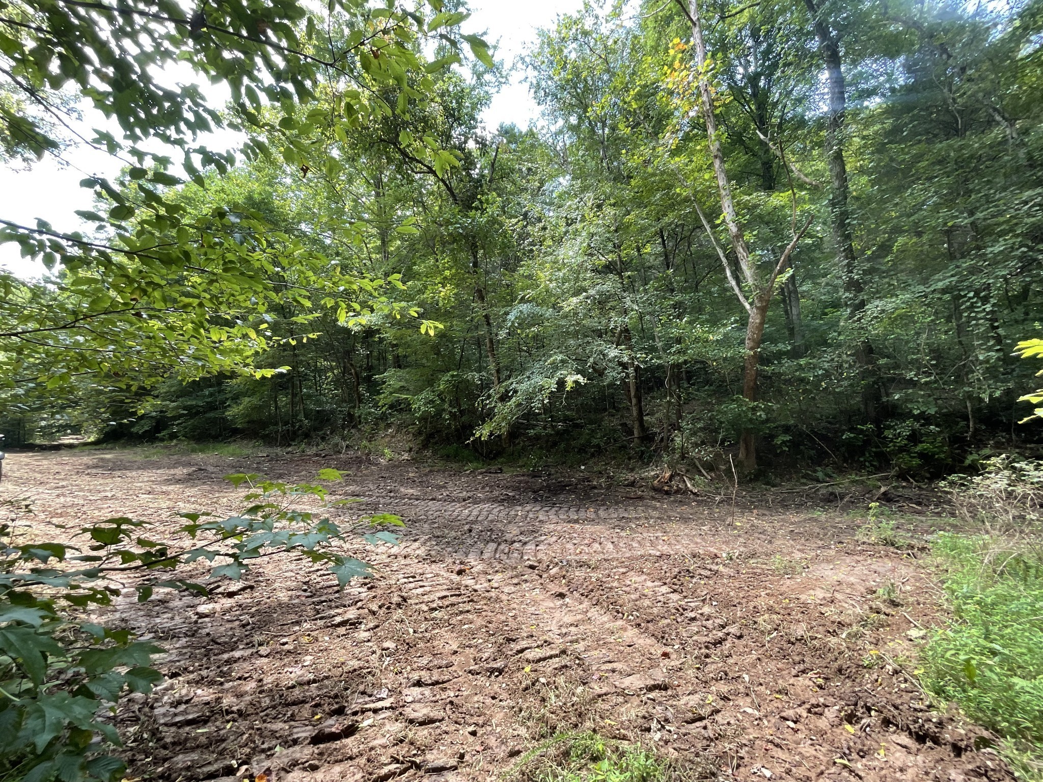 5 Lyle Hollow Road Palmyra, TN 37142 - Photo 24 of 57 Gallery Image 24