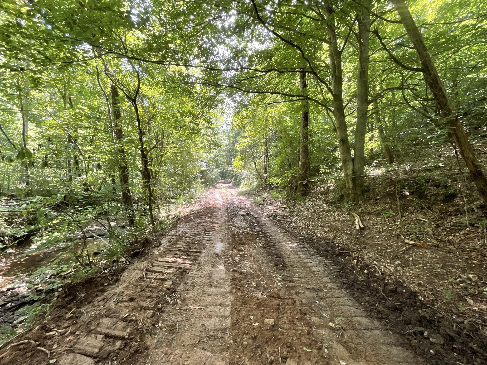 5 Lyle Hollow Road Palmyra, TN 37142 - Photo 25 of 57 Gallery Image 25